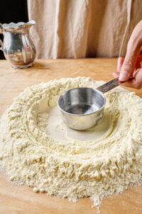 making vegan pasta dough.