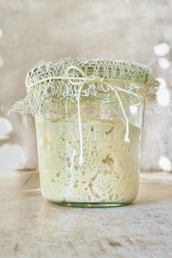 Easy Guide to Create and Maintain a Stiff Sourdough Starter