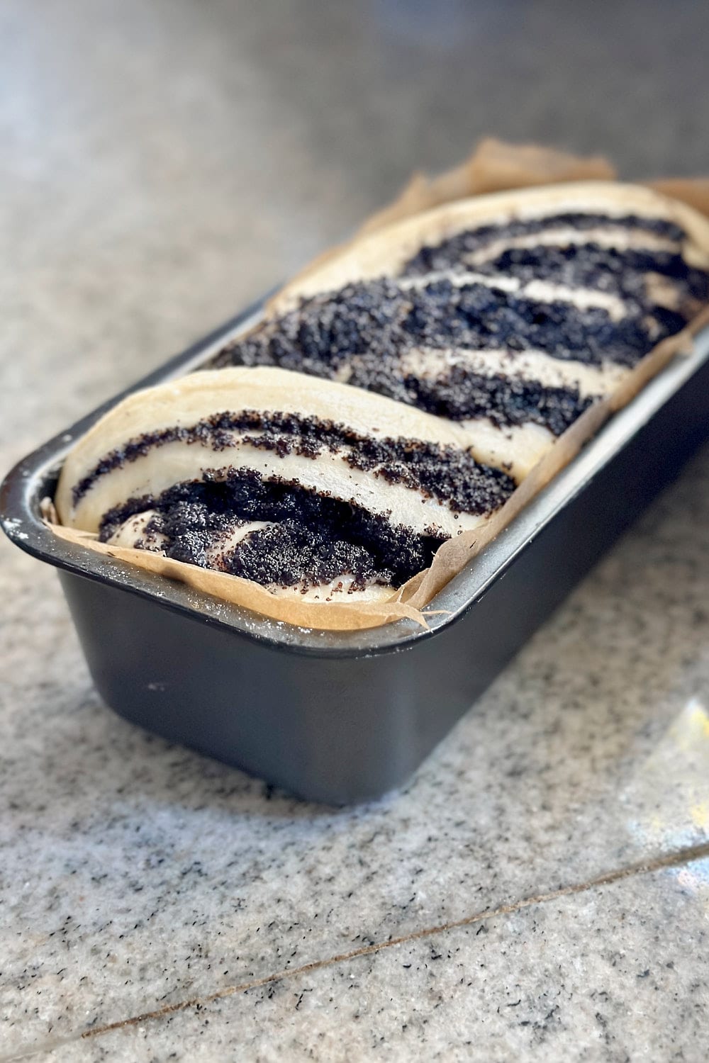 Shaped and fully proofed sourdough babka rising slightly above the rim of the loaf pan.